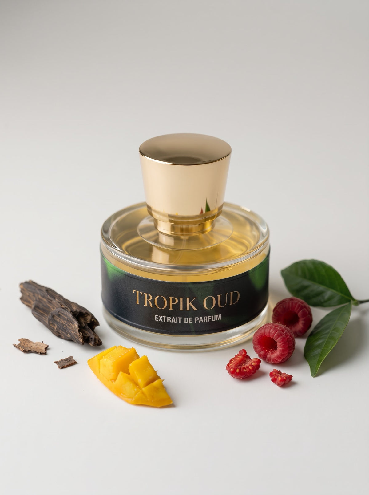 TROPIK OUD